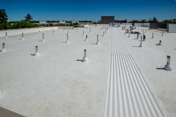 Best Steel Roofing  in Captains Cove, VA